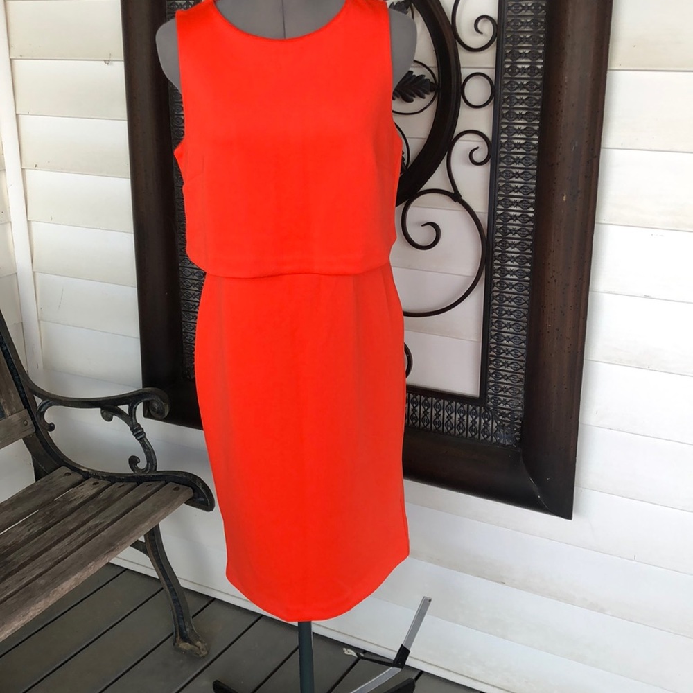 NWT‎ Metaphor dress